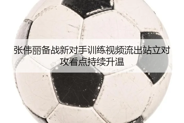 张伟丽备战新对手训练视频流出站立对攻看点持续升温（BOBSPORTS）